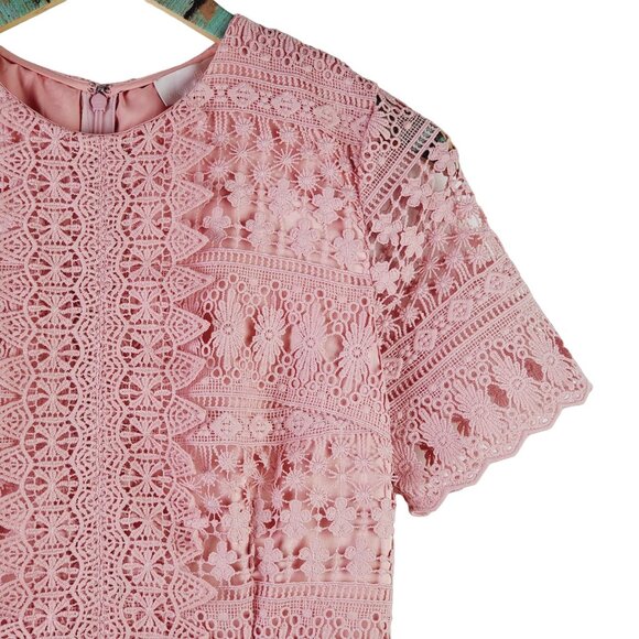 Rachel Parcell Lace Bodice, Velvet Waist Lined Midi Pencil Dress, Pink Bride, S - Picture 6 of 10